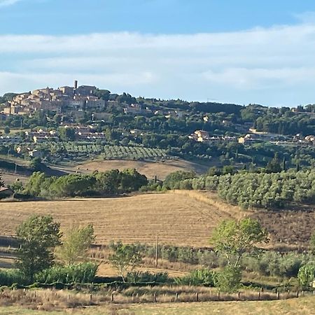 Podere Campo Alle Serpi Bibbona Zewnętrze zdjęcie