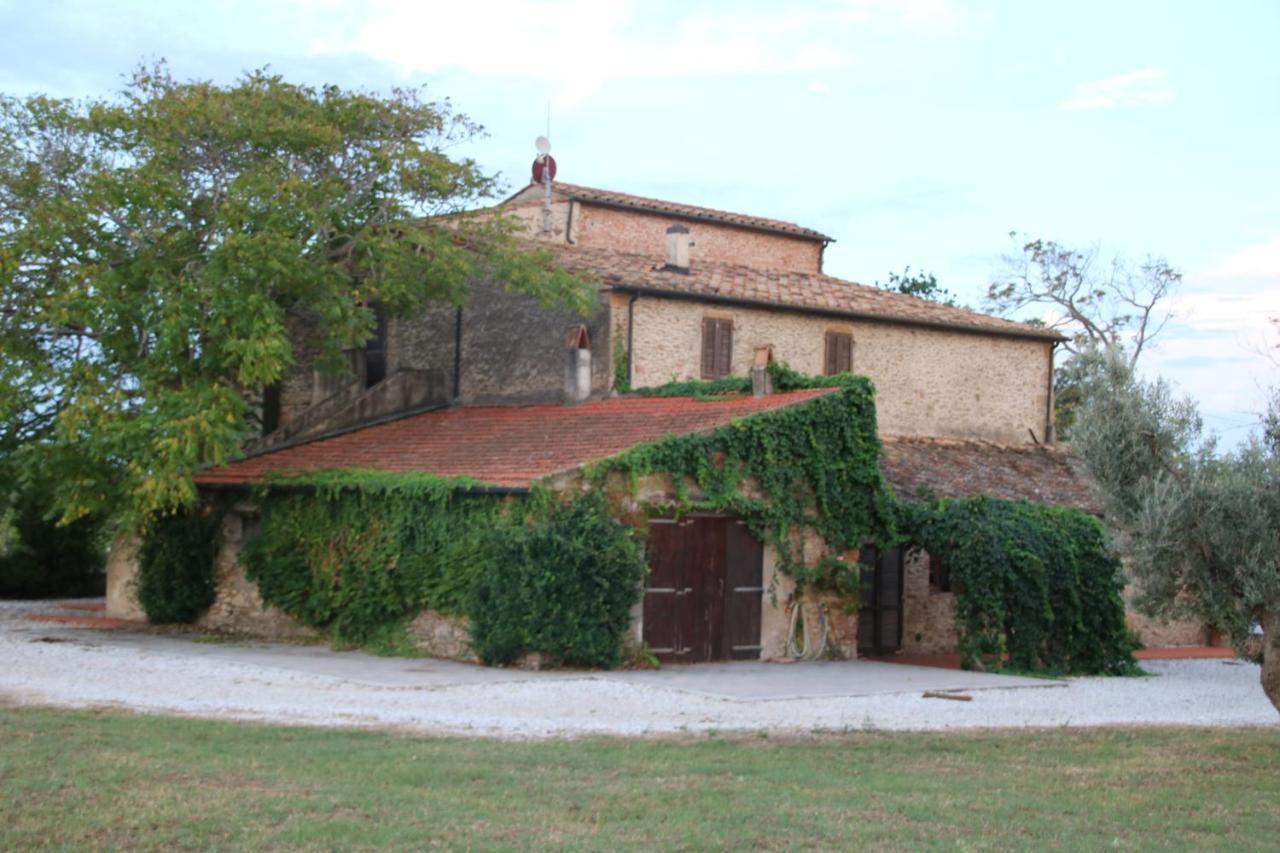 Podere Campo Alle Serpi Bibbona Zewnętrze zdjęcie