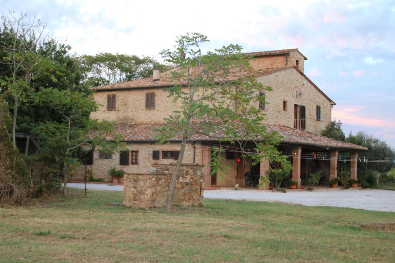 Podere Campo Alle Serpi Bibbona Zewnętrze zdjęcie