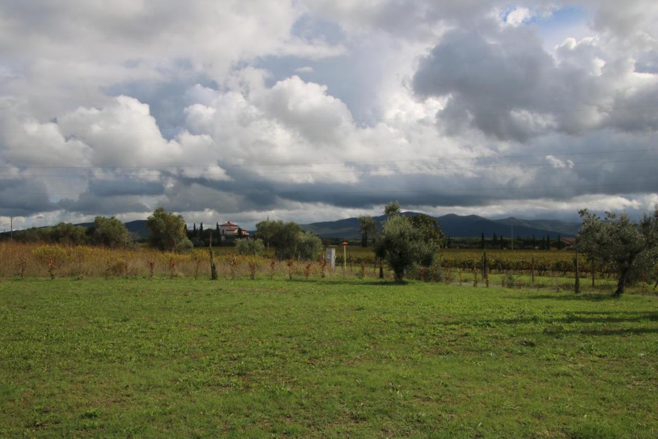 Podere Campo Alle Serpi Bibbona Zewnętrze zdjęcie