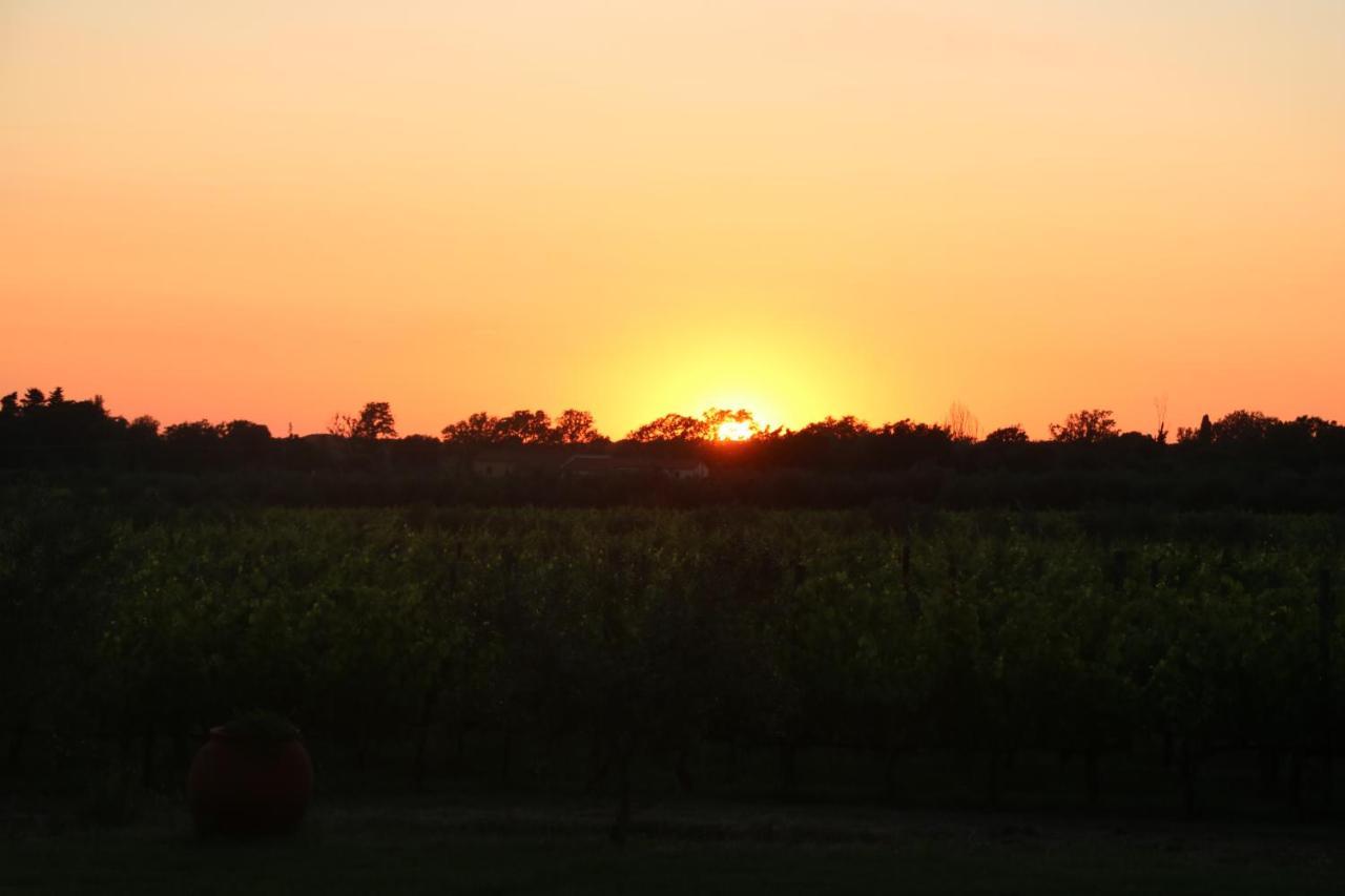 Podere Campo Alle Serpi Bibbona Zewnętrze zdjęcie