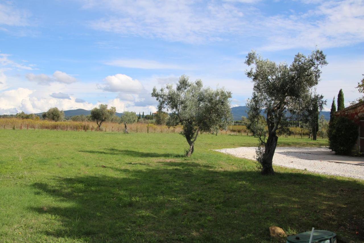 Podere Campo Alle Serpi Bibbona Zewnętrze zdjęcie