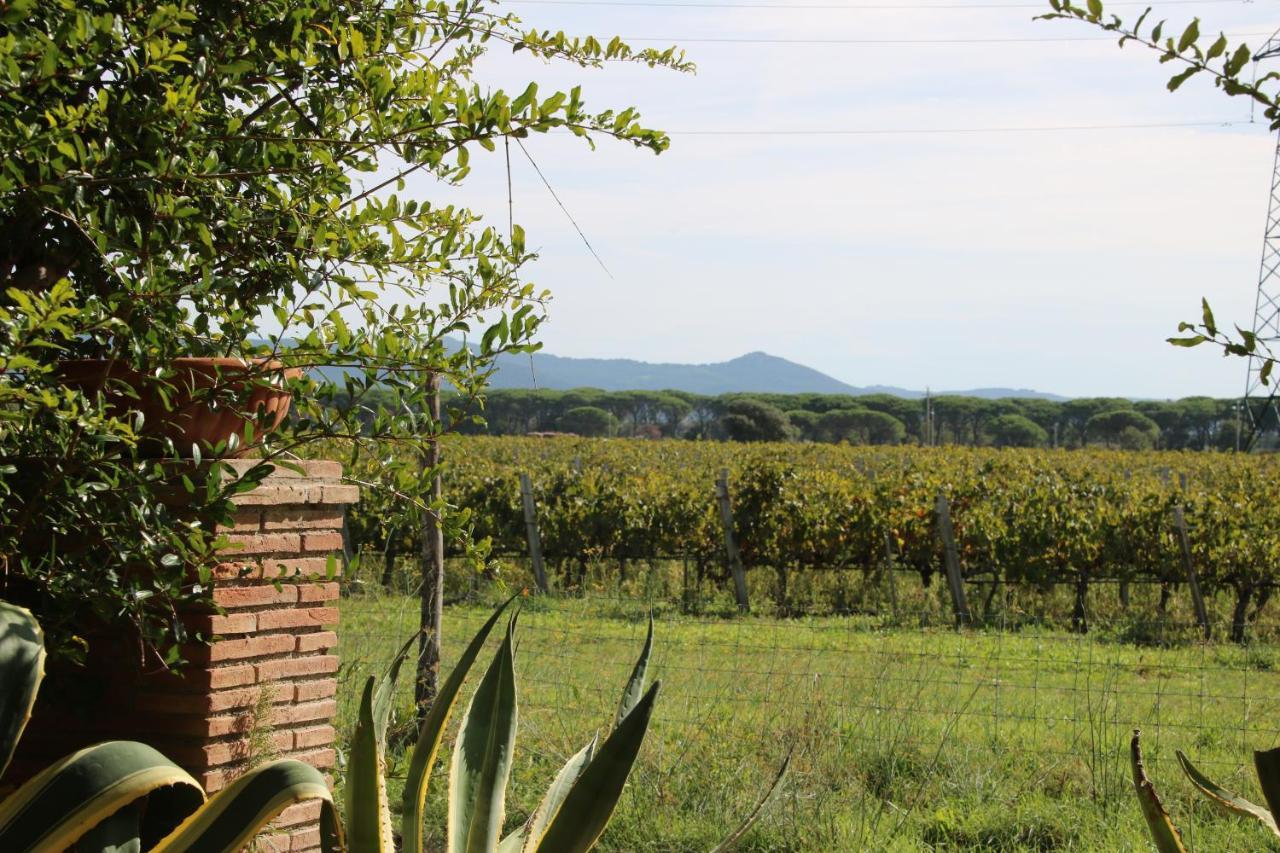 Podere Campo Alle Serpi Bibbona Zewnętrze zdjęcie