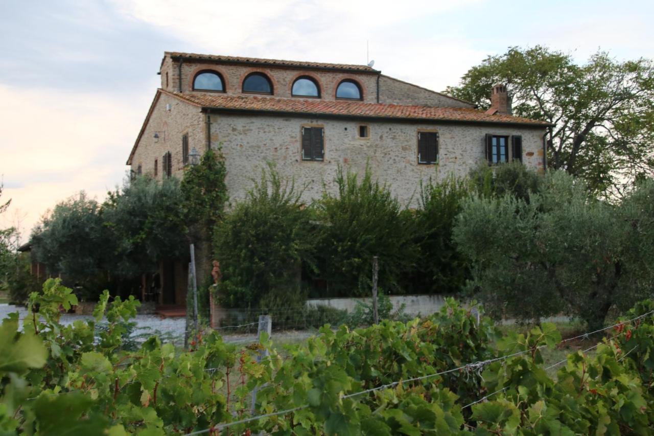 Podere Campo Alle Serpi Bibbona Zewnętrze zdjęcie