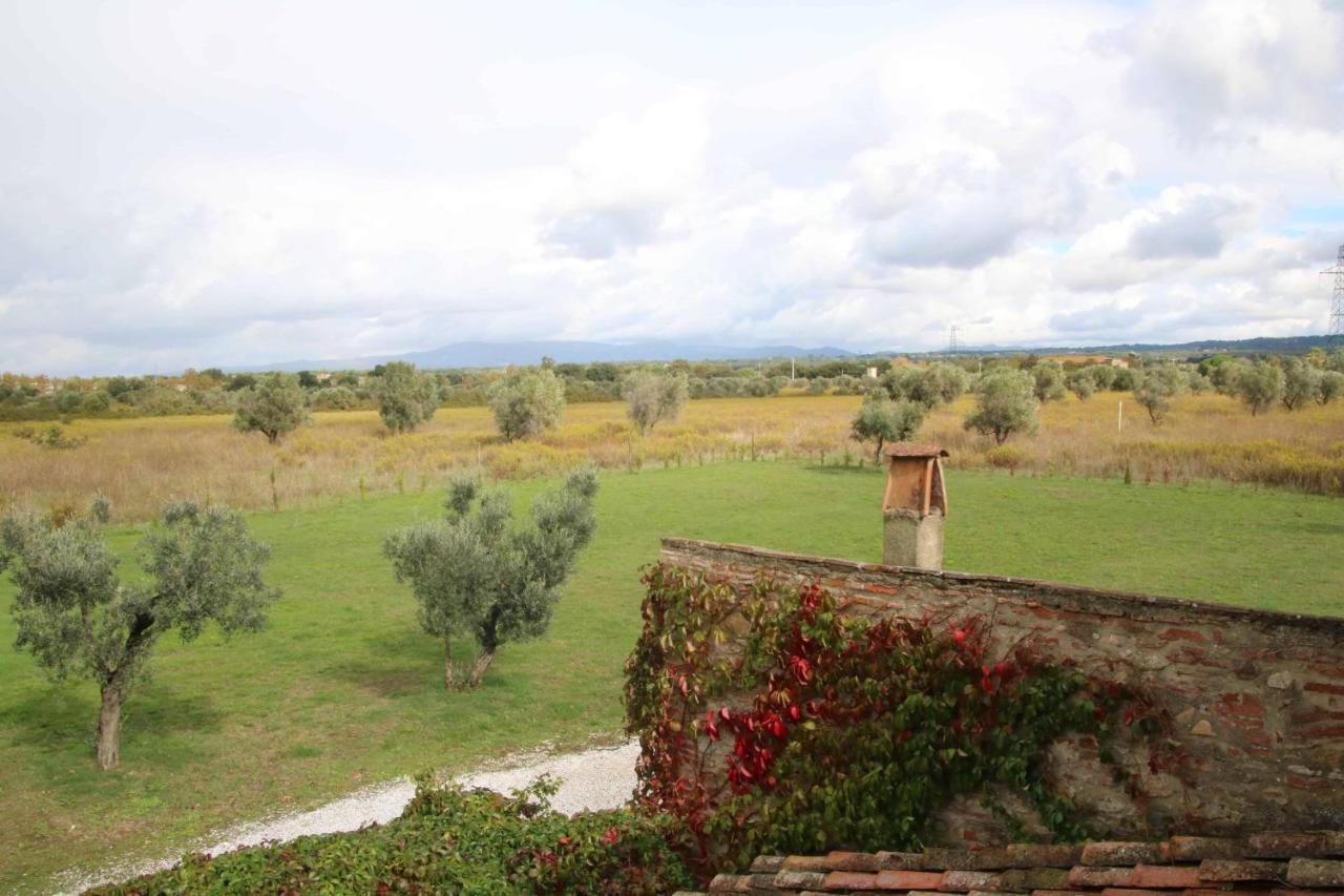 Podere Campo Alle Serpi Bibbona Zewnętrze zdjęcie