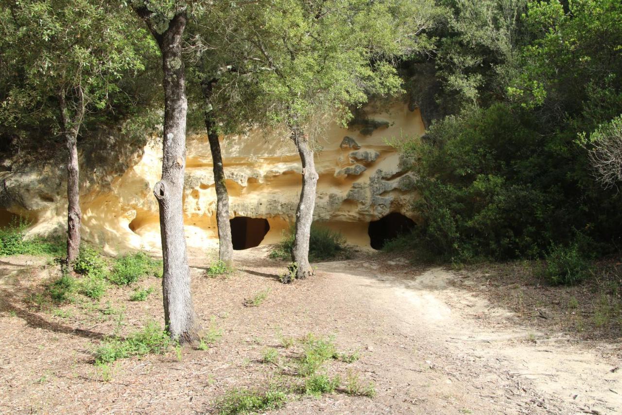 Podere Campo Alle Serpi Bibbona Zewnętrze zdjęcie
