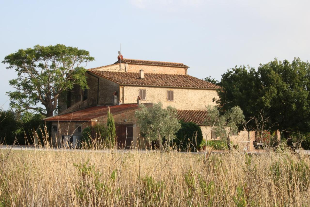 Podere Campo Alle Serpi Bibbona Zewnętrze zdjęcie