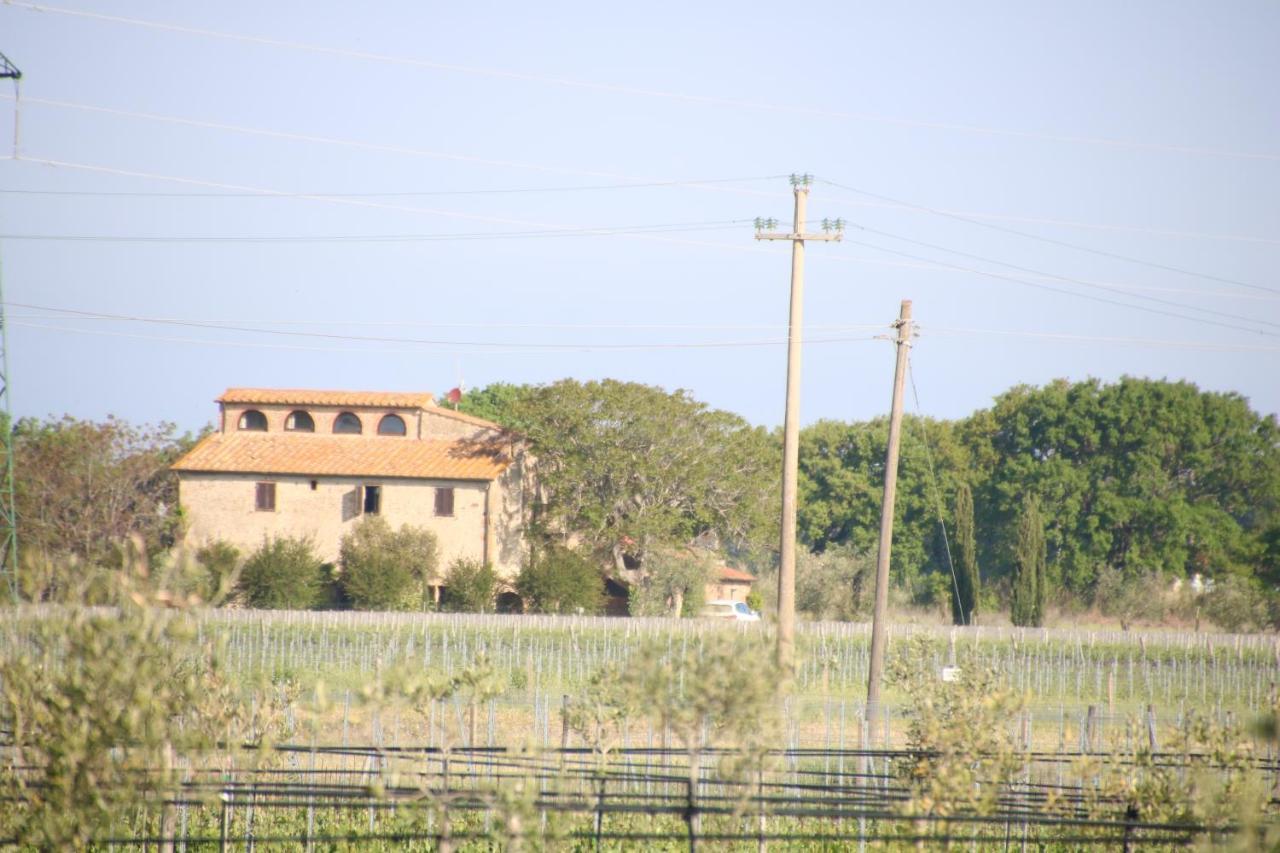 Podere Campo Alle Serpi Bibbona Zewnętrze zdjęcie