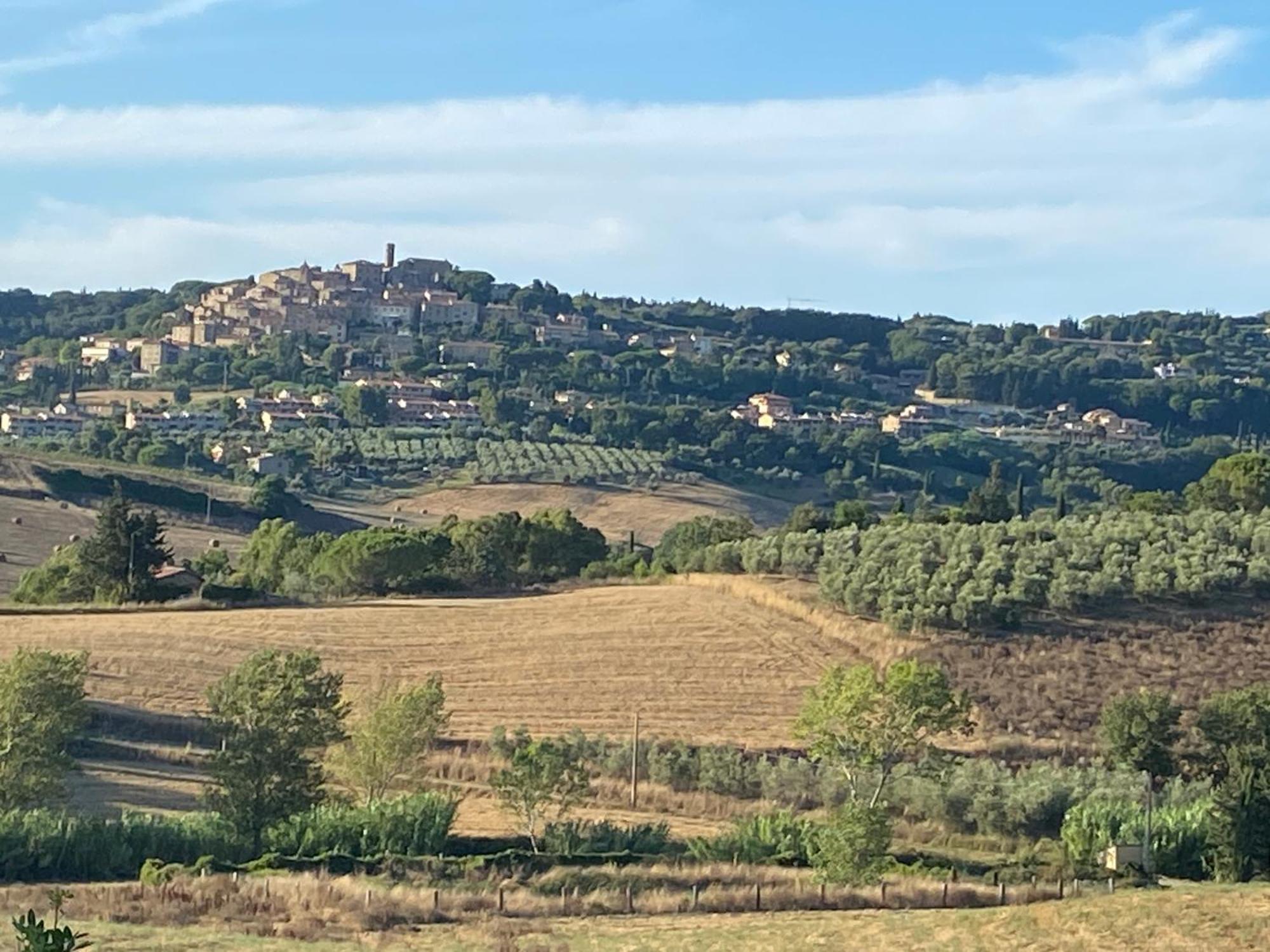 Podere Campo Alle Serpi Bibbona Zewnętrze zdjęcie
