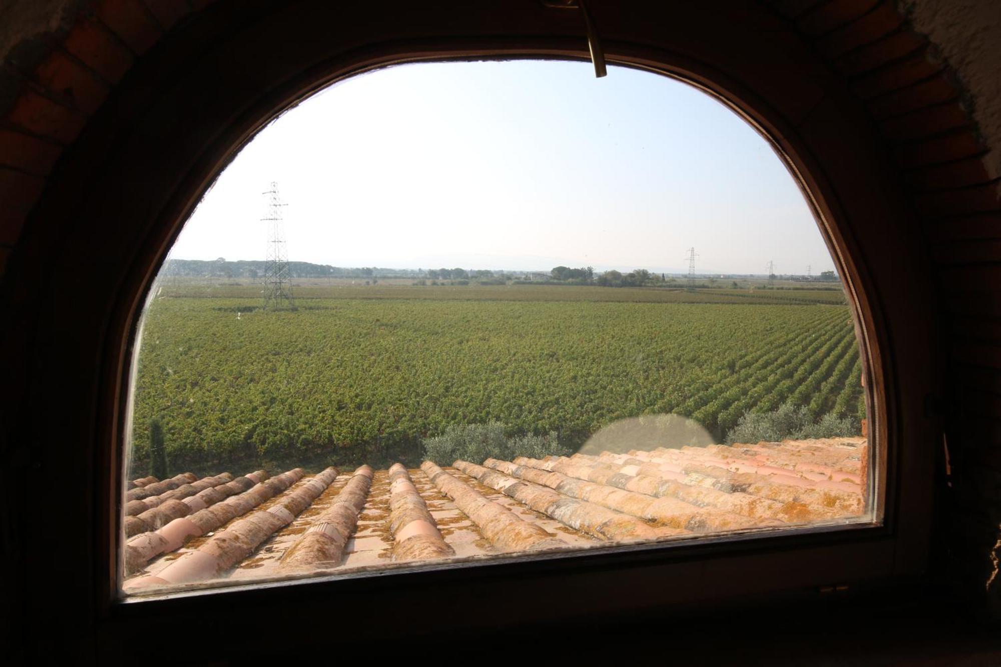 Podere Campo Alle Serpi Bibbona Zewnętrze zdjęcie