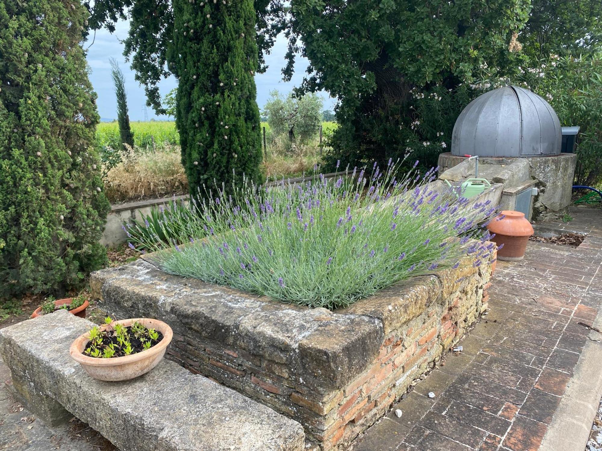 Podere Campo Alle Serpi Bibbona Zewnętrze zdjęcie