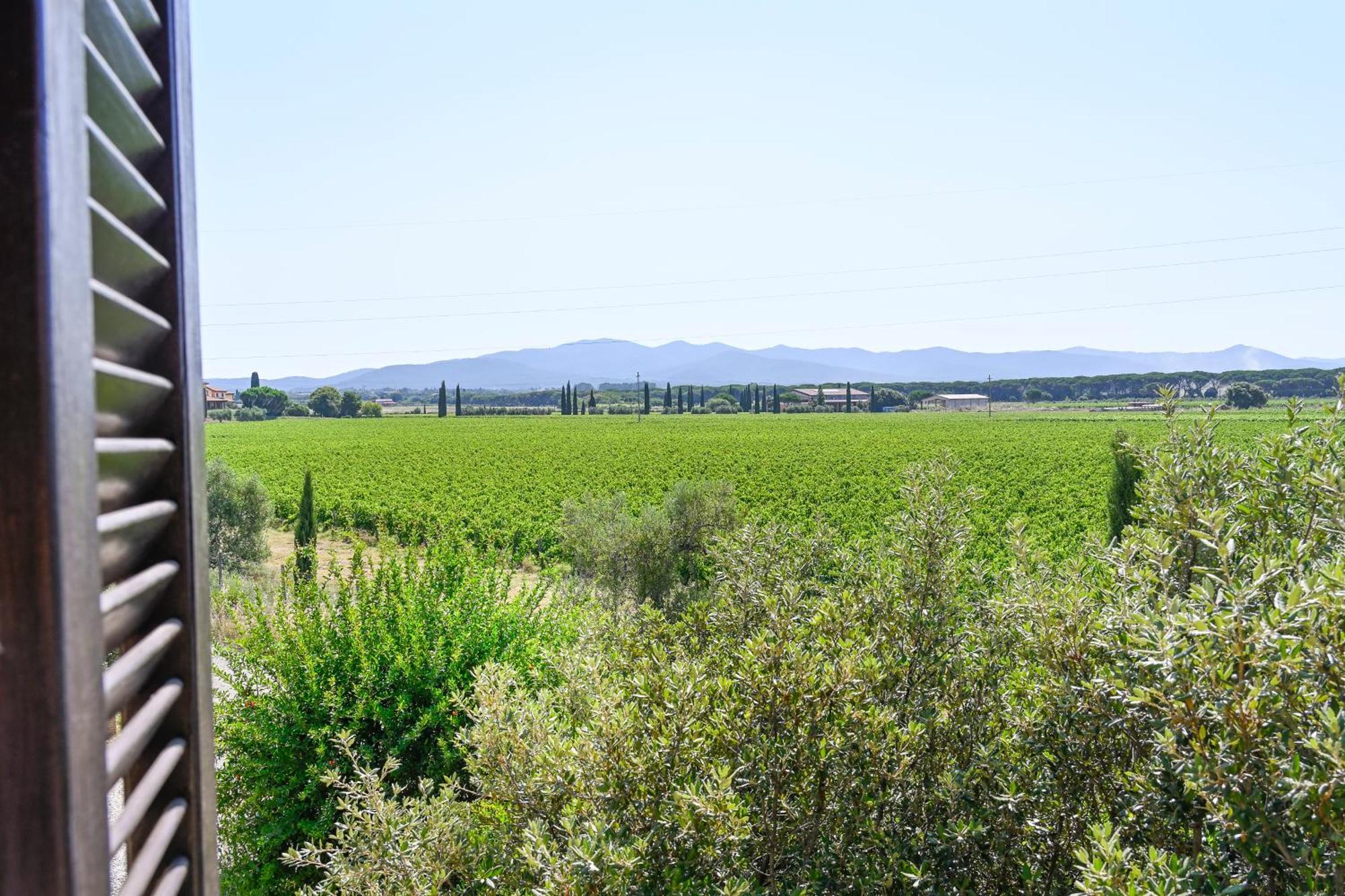 Podere Campo Alle Serpi Bibbona Pokój zdjęcie