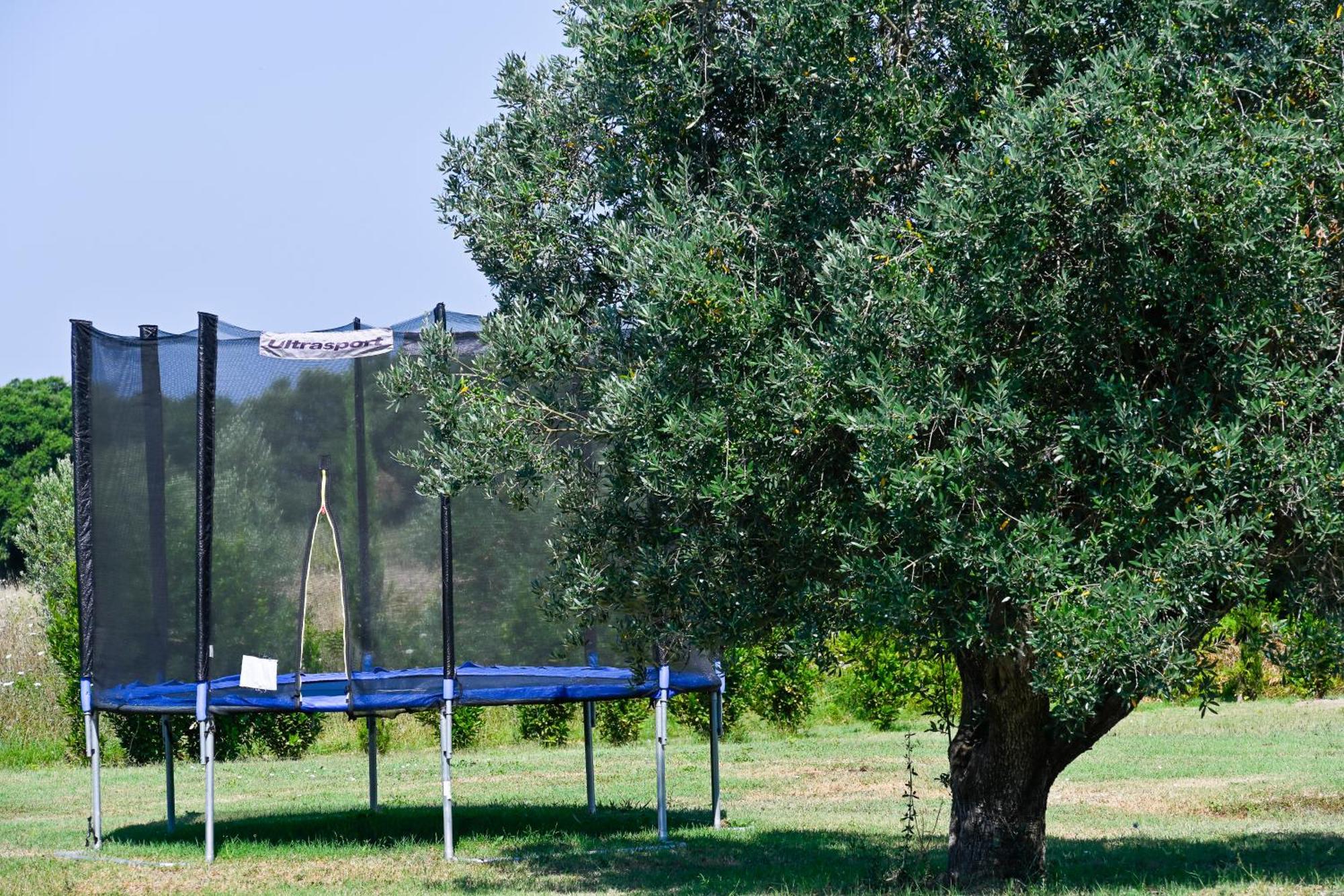 Podere Campo Alle Serpi Bibbona Zewnętrze zdjęcie