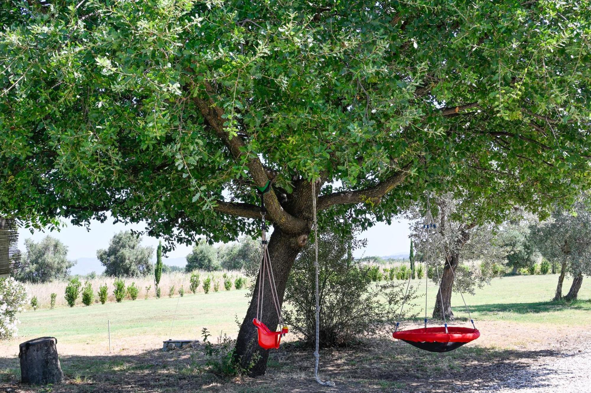 Podere Campo Alle Serpi Bibbona Zewnętrze zdjęcie
